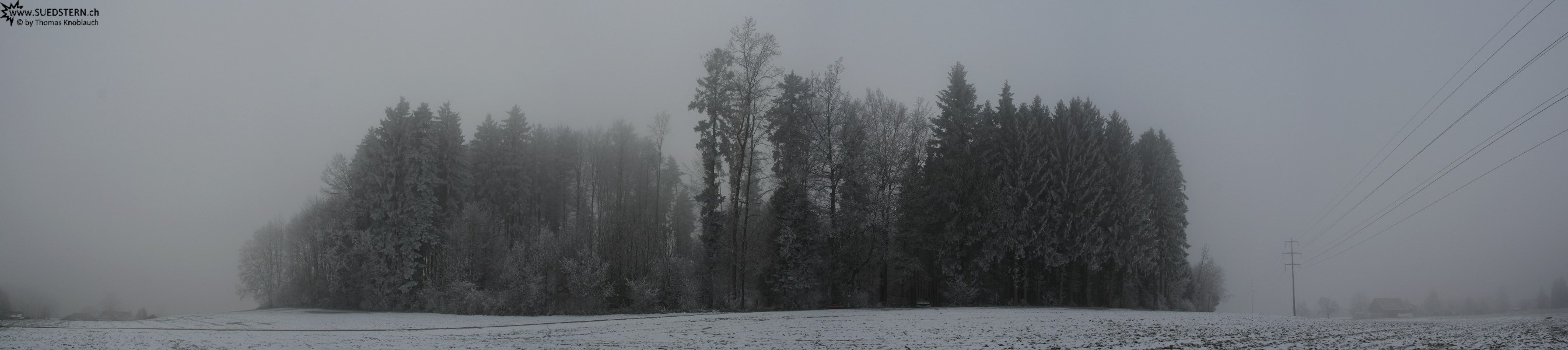 2007-12-23 - Winterforrest near Hinwil, Switzerland